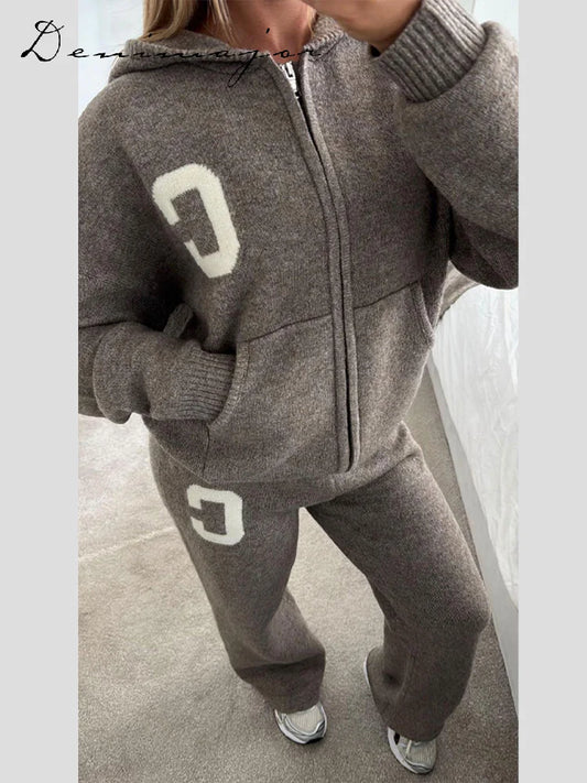 Ensemble Cardigan et pantalon en tricot pour femmes, décontracté, capuche, fermeture éclair, manches longues, manteau ample, pantalon droit, mode dame, costume 2 pièces, automne 2025